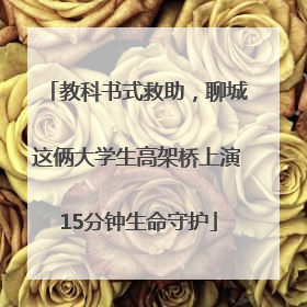 教科书式救助，聊城这俩大学生高架桥上演15分钟生命守护
