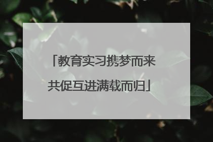 教育实习携梦而来 共促互进满载而归