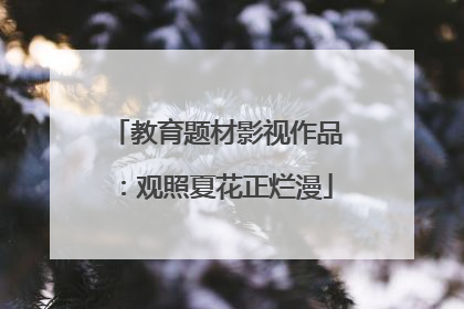 教育题材影视作品：观照夏花正烂漫