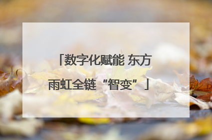 数字化赋能 东方雨虹全链“智变”