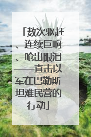 数次驱赶、连续巨响、呛出眼泪——直击以军在巴勒斯坦难民营的行动