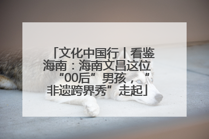 文化中国行丨看鉴海南：海南文昌这位“00后”男孩，“非遗跨界秀”走起