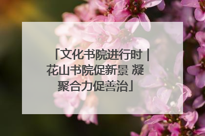 文化书院进行时｜花山书院促新景 凝聚合力促善治