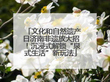 文化和自然遗产日济南非遗放大招！沉浸式解锁“泉式生活”新玩法