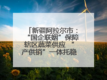 新疆阿拉尔市：“国企联姻”保障辖区蔬菜供应 “产供销”一体托稳市民菜篮子