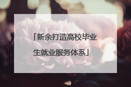 新余打造高校毕业生就业服务体系