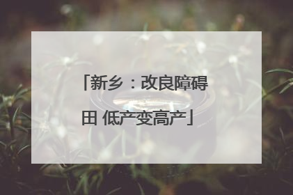 新乡：改良障碍田 低产变高产