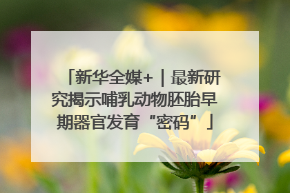 新华全媒+｜最新研究揭示哺乳动物胚胎早期器官发育“密码”