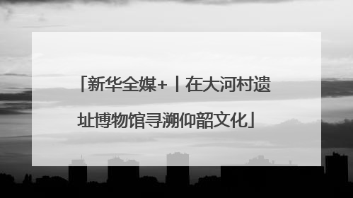 新华全媒+丨在大河村遗址博物馆寻溯仰韶文化