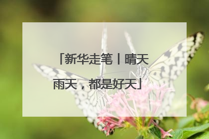 新华走笔丨晴天雨天，都是好天