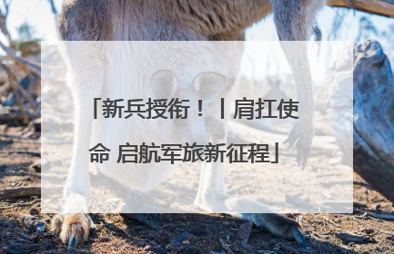 新兵授衔！丨肩扛使命 启航军旅新征程