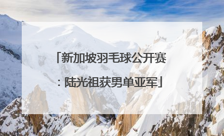 新加坡羽毛球公开赛：陆光祖获男单亚军