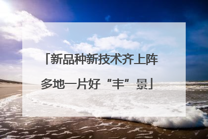 新品种新技术齐上阵 多地一片好“丰”景