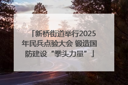 新桥街道举行2025年民兵点验大会 锻造国防建设“拳头力量”