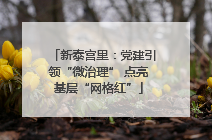 新泰宫里：党建引领“微治理” 点亮基层“网格红”