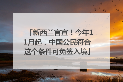 新西兰官宣！今年11月起，中国公民符合这个条件可免签入境