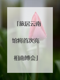 旅居云南馆将首次亮相南博会