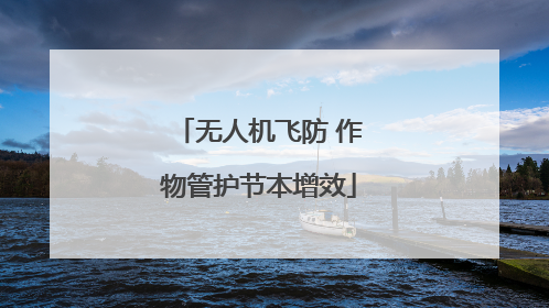 无人机飞防 作物管护节本增效