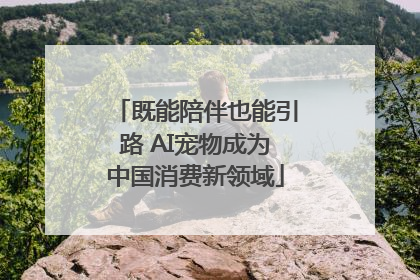 既能陪伴也能引路 AI宠物成为中国消费新领域