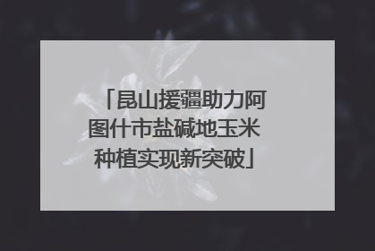 昆山援疆助力阿图什市盐碱地玉米种植实现新突破