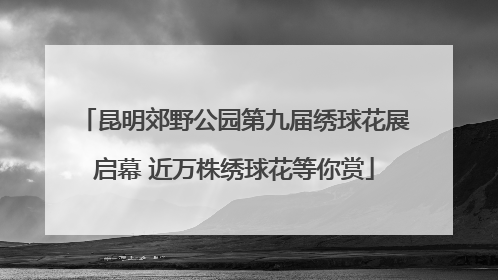 昆明郊野公园第九届绣球花展启幕 近万株绣球花等你赏