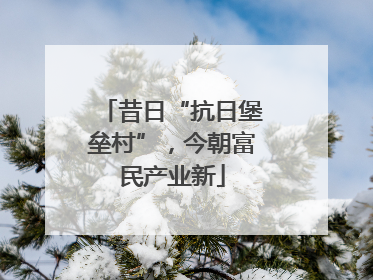 昔日“抗日堡垒村”，今朝富民产业新