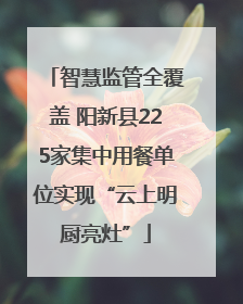 智慧监管全覆盖 阳新县225家集中用餐单位实现“云上明厨亮灶”