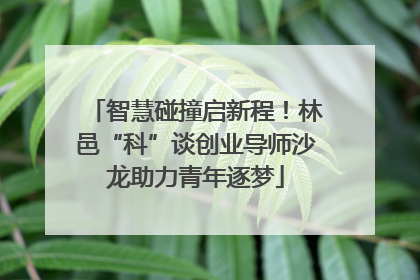 智慧碰撞启新程！林邑“科”谈创业导师沙龙助力青年逐梦