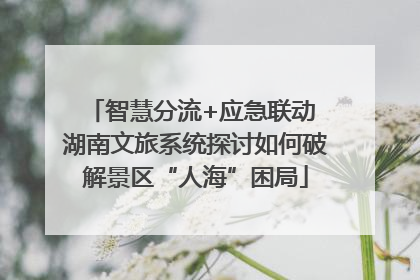 智慧分流+应急联动 湖南文旅系统探讨如何破解景区“人海”困局