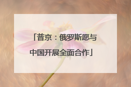普京：俄罗斯愿与中国开展全面合作
