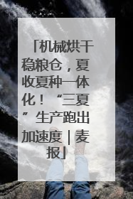 机械烘干稳粮仓，夏收夏种一体化！“三夏”生产跑出加速度｜麦报