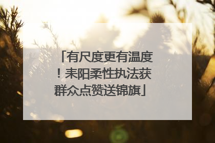 有尺度更有温度！耒阳柔性执法获群众点赞送锦旗