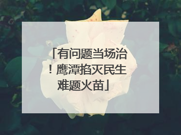 有问题当场治！鹰潭掐灭民生难题火苗