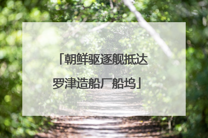 朝鲜驱逐舰抵达罗津造船厂船坞