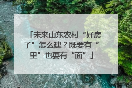 未来山东农村“好房子”怎么建？既要有“里”也要有“面”