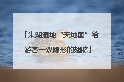 朱湖湿地“天地图”给游客一双隐形的翅膀
