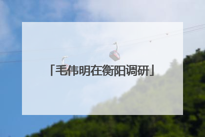 毛伟明在衡阳调研