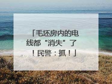 毛坯房内的电线都“消失”了！民警：抓！