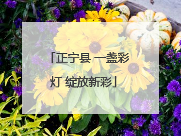 正宁县 一盏彩灯 绽放新彩
