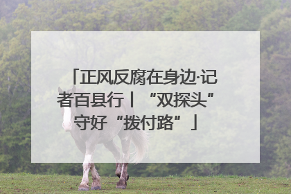 正风反腐在身边·记者百县行丨“双探头”守好“拨付路”
