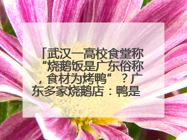 武汉一高校食堂称“烧鹅饭是广东俗称，食材为烤鸭”？广东多家烧鹅店：鸭是鸭鹅是鹅