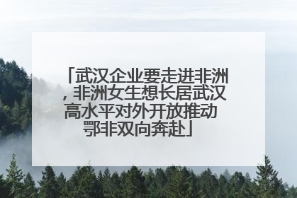 武汉企业要走进非洲，非洲女生想长居武汉 高水平对外开放推动鄂非双向奔赴