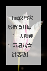 武汉唐家墩街道开展“三大精神”沉浸式宣讲活动