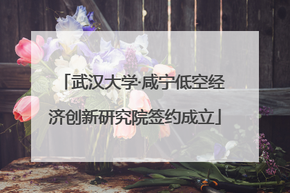 武汉大学·咸宁低空经济创新研究院签约成立