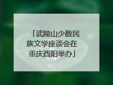 武陵山少数民族文学座谈会在重庆酉阳举办