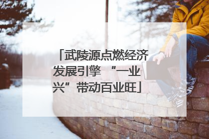 武陵源点燃经济发展引擎 “一业兴”带动百业旺