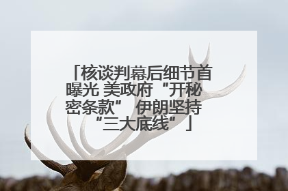 核谈判幕后细节首曝光 美政府“开秘密条款” 伊朗坚持“三大底线”