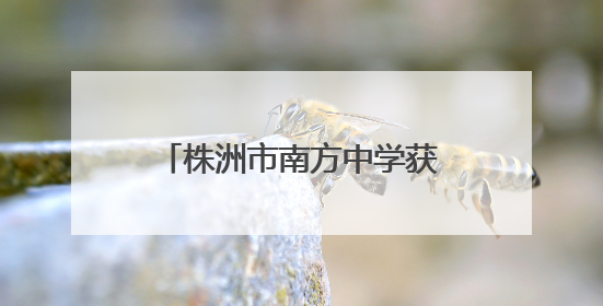 株洲市南方中学获2008届校友捐赠十万元奖学助学金