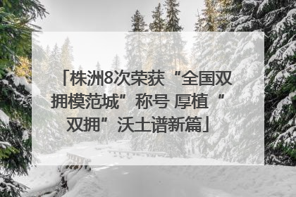 株洲8次荣获“全国双拥模范城”称号 厚植“双拥”沃土谱新篇