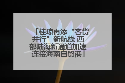 桂琼再添“客货并行”新航线 西部陆海新通道加速连接海南自贸港